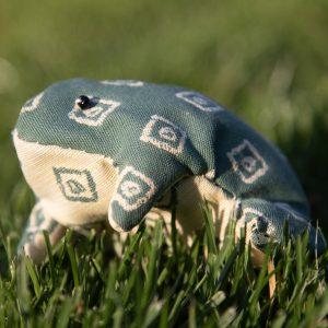 Frog Craft Kit