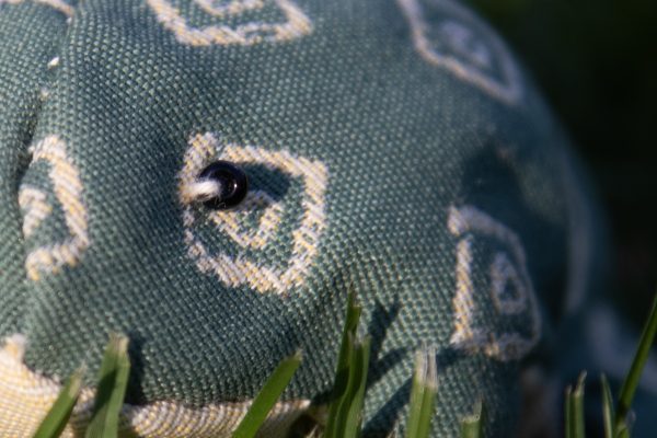 Frog Craft Kit - Image 3
